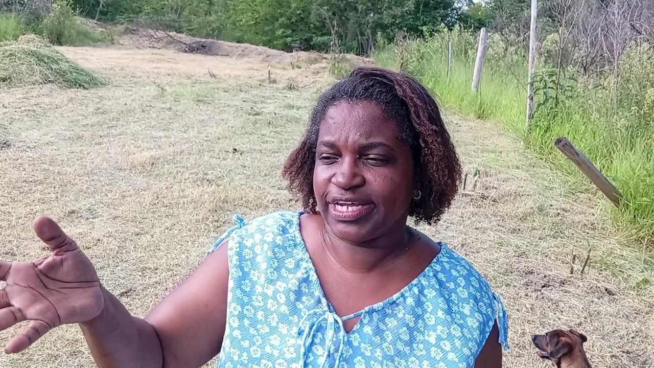 Carnaval, Dia de Limpeza na Chácara.