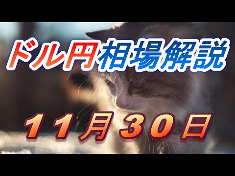 【TAKA FX】ドル円為替相場の前日の動きをチャートから解説。日経平均、NYダウ、金チャートも。11月30日