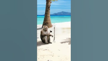 Tag your vacation bestie 🏝️ ASMR Photoshop Art ft. Fauna Fables #Photoshop #shorts