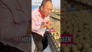 How Salted Eggs Are Made Traditional Fermentation Process