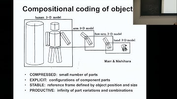Representation of solid geometry in object vision cortex