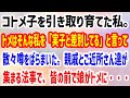【スカッとする話】コトメ子を引き取り育てた私。トメはそんな私を「実子と差別してる」と言って散々噂をばらまいた。→親戚とご近所さん達が集まる法事で、皆の前で娘がトメに・・・