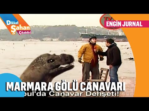 İstanbul'da canavar dehşeti! - Dikkat Şahan Çıkabilir