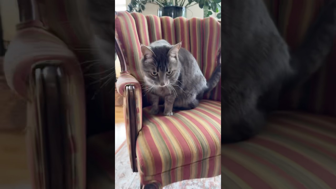 The easiest sofa makeover ever! 