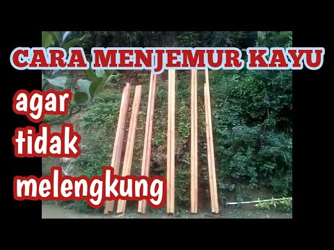 CARA MUDAH MENGERINGKAN KAYU MELENGKUNG AGAR MENJADI LURUS