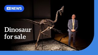 Rare Dinosaur Skeleton Goes To Auction Prompting Criticism From Paleontologists Abcs News