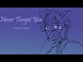 Never Forget You (Miraculous Ladybug Animatic Remake)