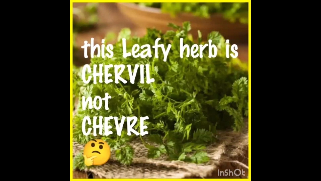 give me the actual name for this Leafy Herb...🤔 