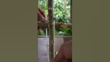 You will be amazed with this convenient knot #shorts #asmr #knot