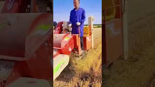 Multifunctional Mini Rice, Wheat, and Soybean Harvester #riceharvester #wheatharvester #soybean