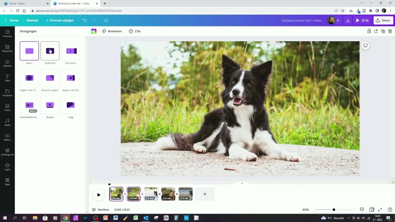 Video maken van foto's in Canva