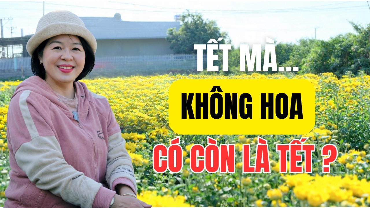 Vì Sao Tết Của Người Việt Không Thể Thiếu Hoa ?|Ánh Hồng Radio