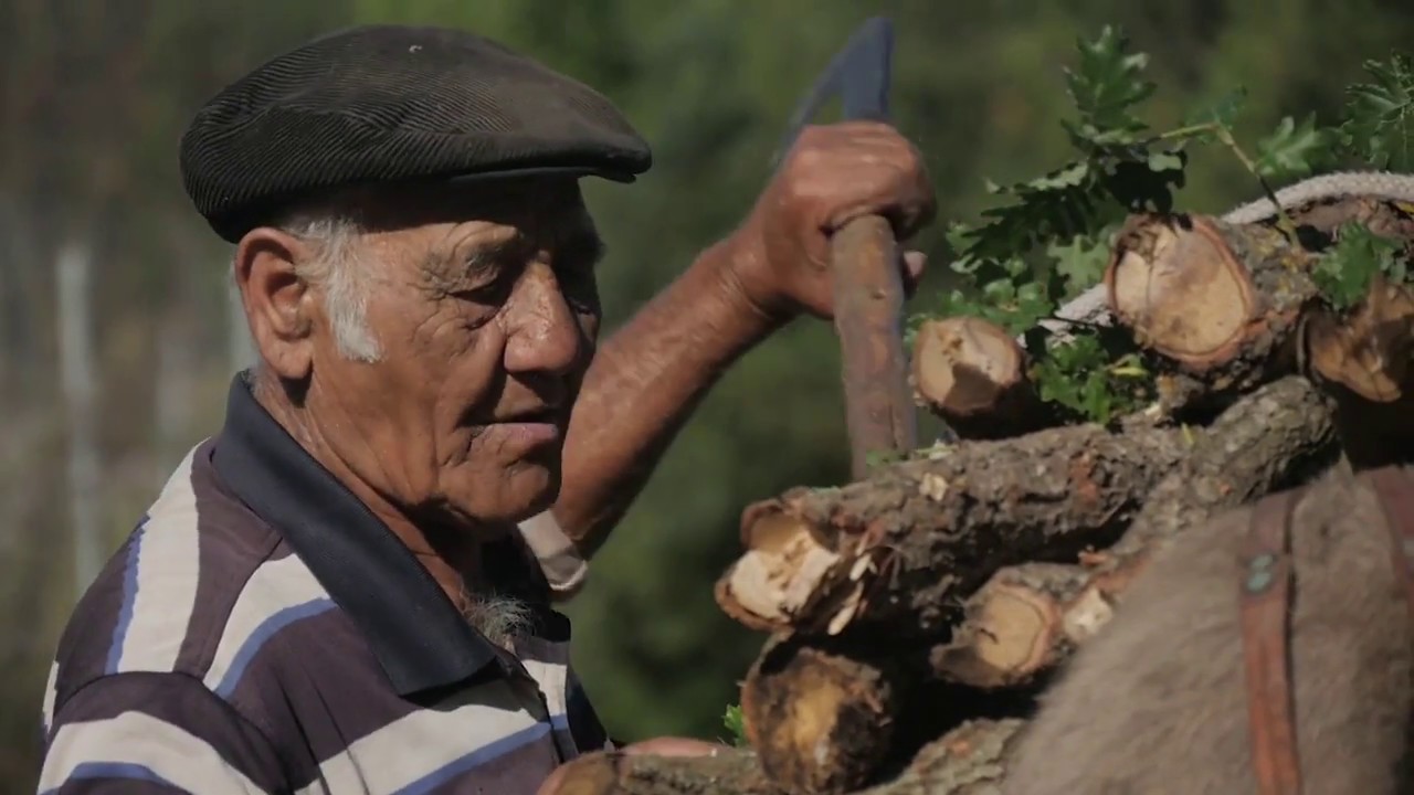 Ardauli passato e presente