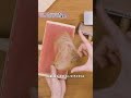 羊毛フェルト＿カーダーの種類【レッスン割引販売中】 #needlefelting #cat #猫