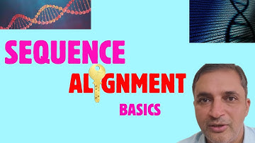 Sequence Alignment Made Easy | Bioinformatics for Beginners