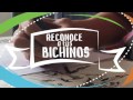 ¡Reconoce a tus bichinos!