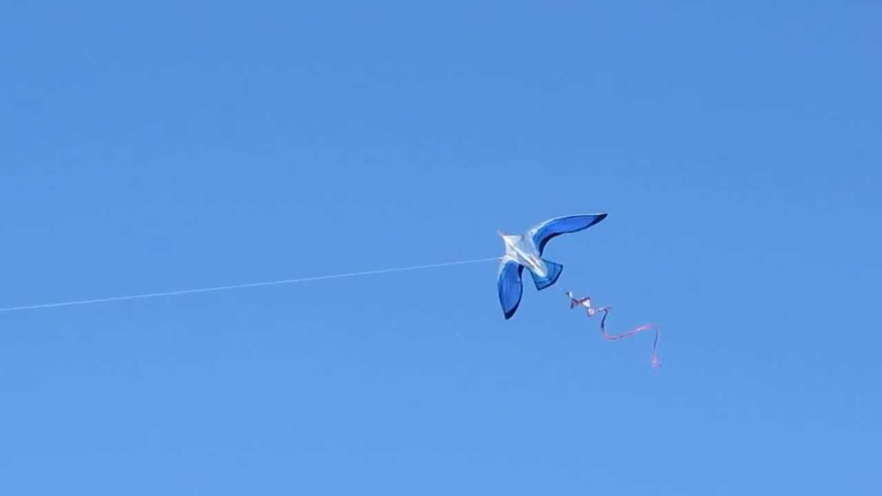 Seagull kite YouTube