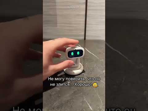 Погладь AIBI — и он оживает?! Купить в Каунасе, Тарту, Даугавпилсе