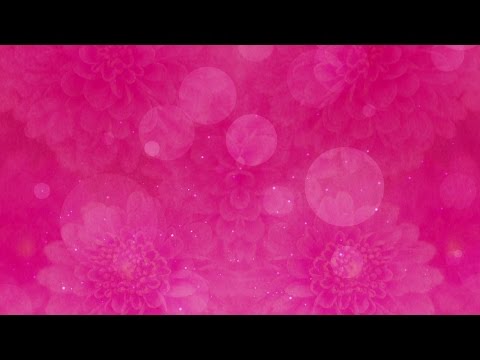 Pink Floral Bokeh - HD Video Background Loop