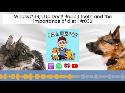 What's Up Doc? Rabbit teeth and the importance of diet | #032