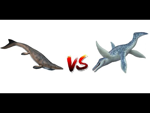 Mosasaurus Hoffmanni VS Pliosaurus Funkei Discussion 