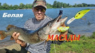 картинка: Один на рыбалке в Масадах. Река Белая.