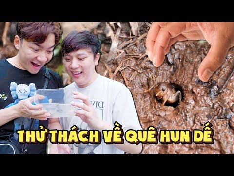 Thử Thách Hun Dế Siêu To VS Siêu Nhỏ VS Bình Thường!!
