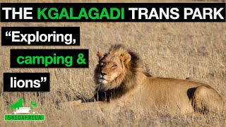 Kgalagadi Transfrontier Park | All the Info YOU NEED | South Africa