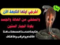 رقية التابعه تخرج بجنود الله تابعة ساحرة حاسدة من الصغر لزمت البدن تخرج الآن بقوة الله رقية التابعه تخرج بجنود الله تابعة ساحرة حاسدة من الصغر لزمت البدن تخرج الآن بقوة الله