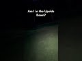 Pollenocalypse #upsidedown #strangerthings #pollen