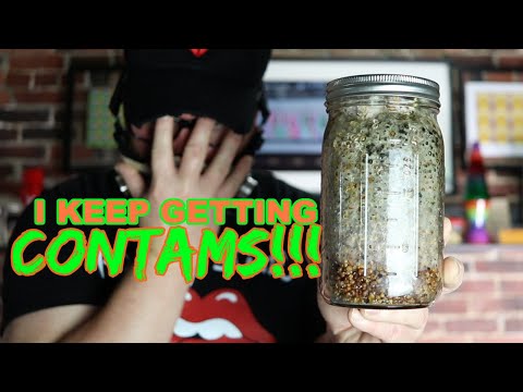 Stop contamination now so it don't come back! #WillyMyco #Mycology #Tripteamfamily