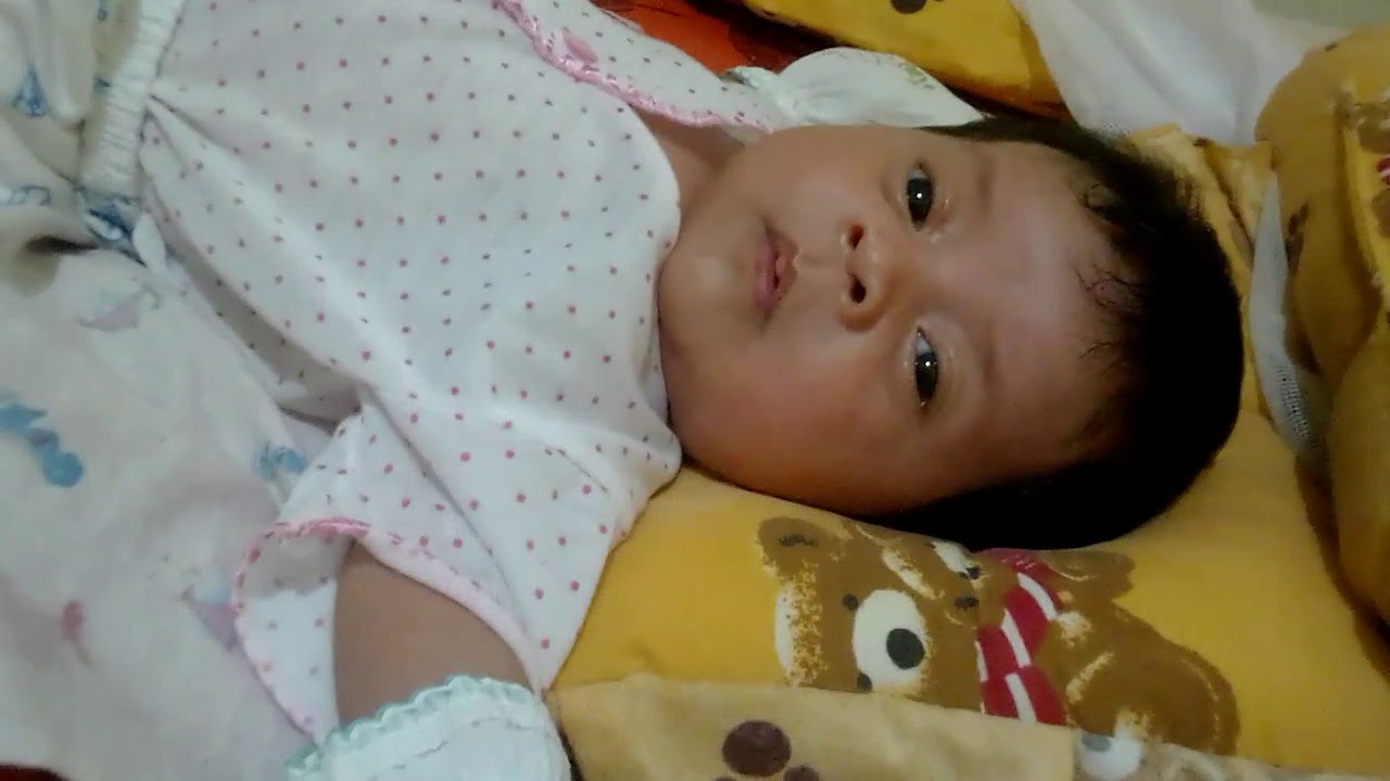  Bayi  lucu  YouTube