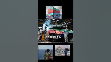 ኤርትራ 🥷#eritrean #military #power #politicalnews #habeshatiktok #ethiopiantiktok #tigray #asmera