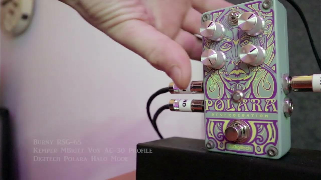 Digitech Polara Reverb Pedal (Discontinued, Lexicon algorithms) YouTube