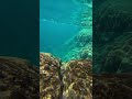 なんかゾッとする・・・。