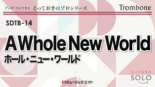 i*o様 ロルカナ　ホールニューワールド　持つんだ熱い心　ソングセット i*o様 ロルカナ ホールニューワールド 持つんだ熱い心 ソング