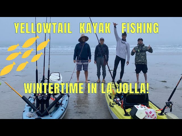 Wintertime Yellowtail Fishing in La Jolla 