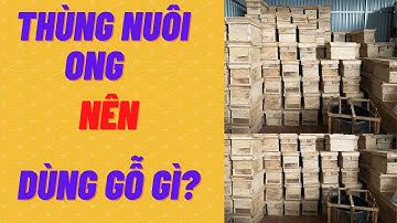 thùng nuôi ong tiêu chuẩn ,dùng gỗ nào phù hợp cho đóng thùng nuôi ?