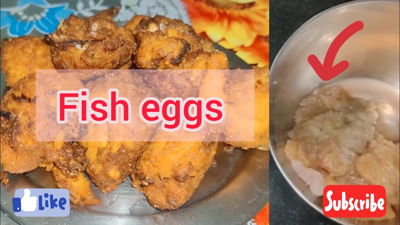 Fish Roe Fritters/Macher Dimer Bora/ boda/ wada /Fish eggs #bengalifood ...