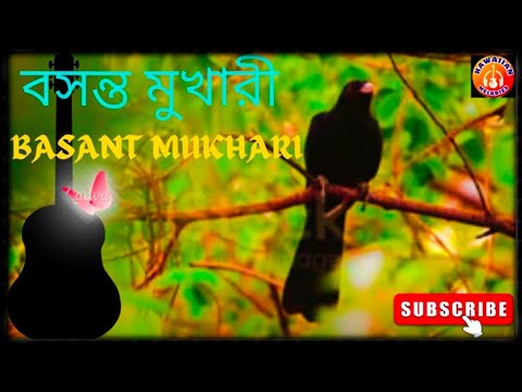 RAGA BASANT MUKHARI | PUBALI KANJILAL |HAWAIIAN MELODIES | HAWAIIAN GUITAR |CLASSICAL MUSIC |