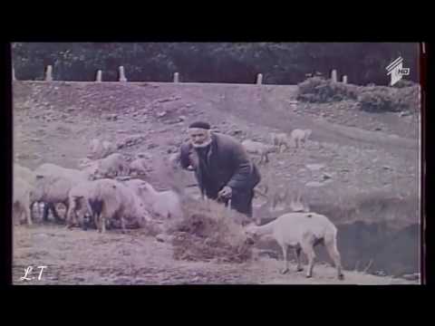 თუში მეცხვარე --  ქურდობის სცენა \"ხელი ხელიი \" !!