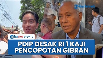 PDIP Sebut Usulan Pencopotan Gibran oleh Purn TNI Bukan Abal abal, Desak Prabowo Buat Tim Independen