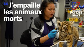 Taxidermiste : leur job, empailler les animaux du muséum d'Histoire naturelle | Good Job