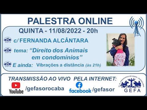 Assista: Palestra online - c/ FERNANDA ALCÂNTARA (11/08/2022)
