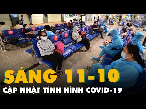 Video Sáng 11-10: 5.014 ca nặng đang được điều trị; TP.HCM... - youtube