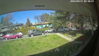 Dog Trips on Stairs When Sprinting Around Front Yard - 1493265 by RM Videos 469 views 2 days ago 14 seconds