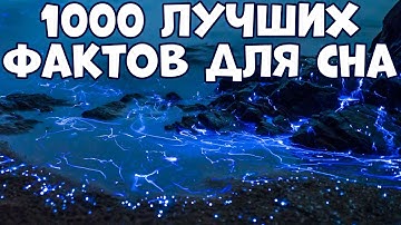 1000 ЛУЧШИХ ФАКТОВ ДЛЯ СНА