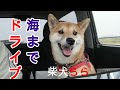 海までドライブ