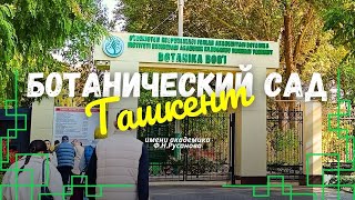 картинка: Ташкент. Ботанический сад.