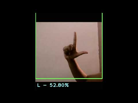 Sign language conversion using camera